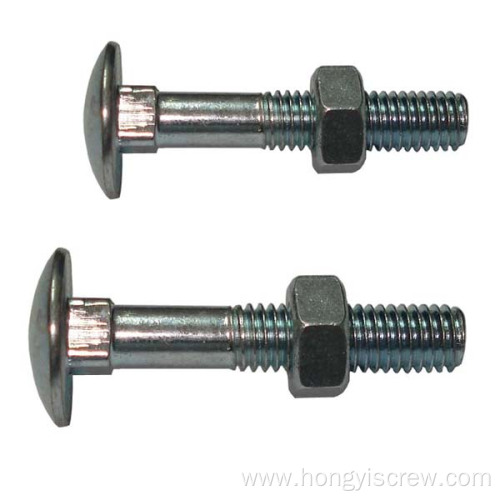 Galvanized stainless steel carriage bolts